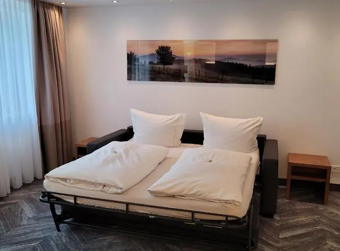 Hessenhof מלון 4*