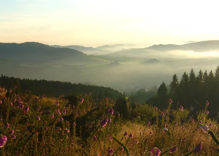 Hessenhof מלון 4*